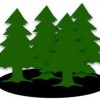 Beautiful Sierra Pines Homes For Sale In May 2012